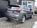 Lexus NX 300h ALLRAD Gris - thumbnail 16
