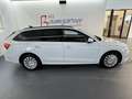 Skoda Octavia Kombi 2,0TDI *LED*AHK*Tempomat*Getönte Scheiben... Weiß - thumbnail 3