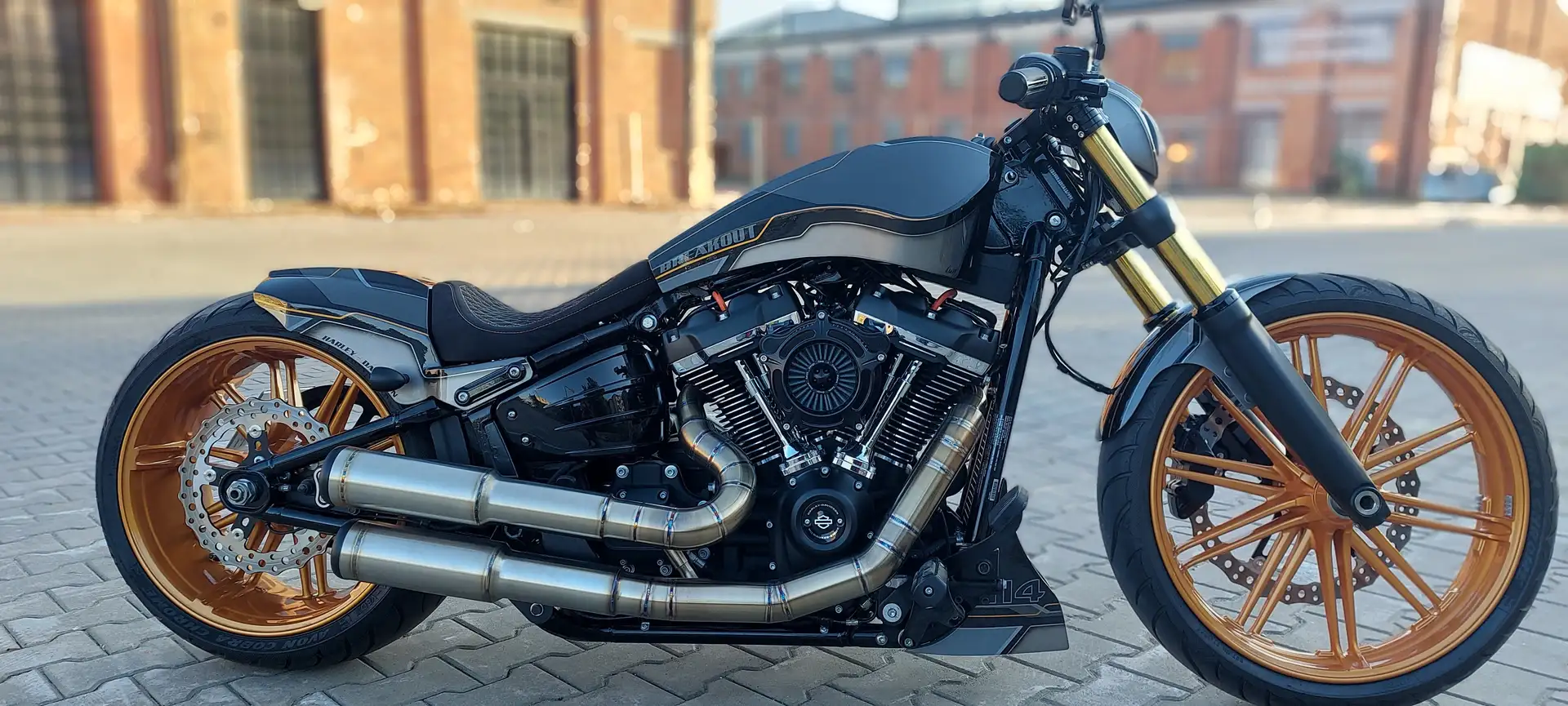 Harley-Davidson Breakout FXBRS 114 Custom Grau - 2