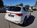 SEAT Tarraco TARRACO FR 2.0 TDI DSG 4DRIVE NAVI SITZHEI. DAB+ Blanc - thumbnail 2
