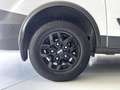 Ford Transit Custom 170 PS TRAIL-SONDERMODEL ALU/XENON/LEDER/NAVI Weiß - thumbnail 22