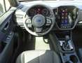 Subaru Forester 2.0ie Trend *Hunter Edition* Szary - thumbnail 16
