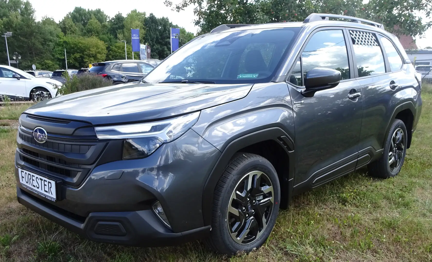 Subaru Forester 2.0ie Trend *Hunter Edition* Szary - 1