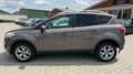 Ford Kuga Champions Edition Braun - thumbnail 2