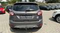 Ford Kuga Champions Edition Bruin - thumbnail 4