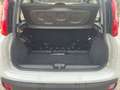 Fiat Panda Panda 1.3 mjt 16v Easy s Bianco - thumbnail 5