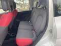 Fiat Panda Panda 1.3 mjt 16v Easy s Bianco - thumbnail 6