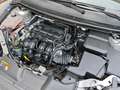 Ford Focus 1.6 BENZINA 115cv / 34.000km / Uniproprietario Argento - thumbnail 17