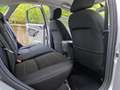 Ford Focus 1.6 BENZINA 115cv / 34.000km / Uniproprietario Argento - thumbnail 13