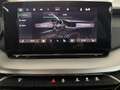 Skoda Octavia Kombi 2,0TDI *LED*AHK*Smart Link*Tempomat*Getön... Grau - thumbnail 28