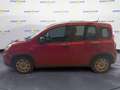 Fiat Panda Rosso - thumbnail 2