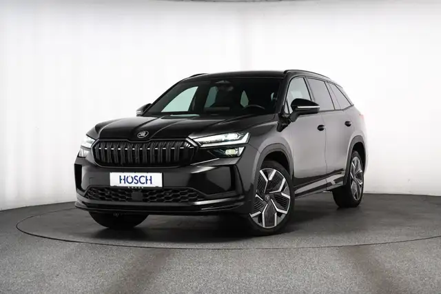 Skoda Kodiaq view 2