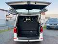 Volkswagen T6 Multivan Tisch/AHK/Kamera/Scheckheft Blanc - thumbnail 5