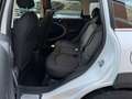 MINI Cooper D Countryman 2.0 auto E6 FULL. CAMBIO AUTOMATICO Blanc - thumbnail 10