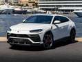Lamborghini Urus Urus 4.0 V8 650 ch BVA8 Weiß - thumbnail 1
