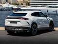 Lamborghini Urus Urus 4.0 V8 650 ch BVA8 Weiß - thumbnail 13