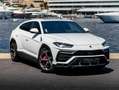 Lamborghini Urus Urus 4.0 V8 650 ch BVA8 Weiß - thumbnail 3