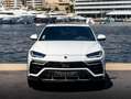 Lamborghini Urus Urus 4.0 V8 650 ch BVA8 Weiß - thumbnail 2