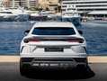 Lamborghini Urus Urus 4.0 V8 650 ch BVA8 Weiß - thumbnail 14
