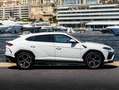 Lamborghini Urus Urus 4.0 V8 650 ch BVA8 Weiß - thumbnail 4
