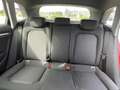 Audi A3 Sportback 1.6TDI Sport Edition S tronic 81kW Rojo - thumbnail 9