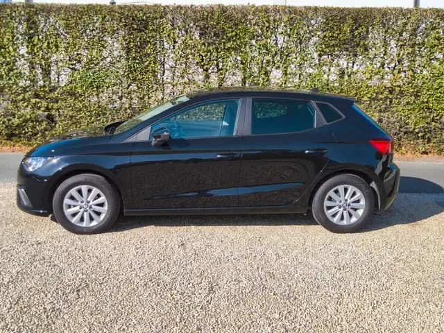 Seat Ibiza view 5