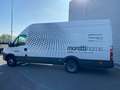 Iveco Daily 35C17 PL-TA L4-H3 SOSP PNEUMATICHE, CRUISE, IVA Bianco - thumbnail 8