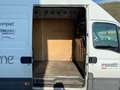Iveco Daily 35C17 PL-TA L4-H3 SOSP PNEUMATICHE, CRUISE, IVA Bianco - thumbnail 14