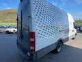Iveco Daily 35C17 PL-TA L4-H3 SOSP PNEUMATICHE, CRUISE, IVA Bianco - thumbnail 5
