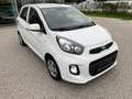 Kia Picanto 66PS.Benzin  Titan-Ausstattung Wit - thumbnail 3
