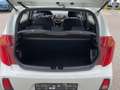 Kia Picanto 66PS.Benzin  Titan-Ausstattung Bianco - thumbnail 13
