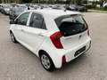 Kia Picanto 66PS.Benzin  Titan-Ausstattung Wit - thumbnail 7