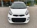 Kia Picanto 66PS.Benzin  Titan-Ausstattung Bianco - thumbnail 2