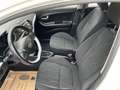 Kia Picanto 66PS.Benzin  Titan-Ausstattung Bianco - thumbnail 9
