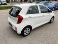 Kia Picanto 66PS.Benzin  Titan-Ausstattung Bianco - thumbnail 5