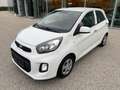 Kia Picanto 66PS.Benzin  Titan-Ausstattung Bianco - thumbnail 1
