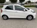 Kia Picanto 66PS.Benzin  Titan-Ausstattung Wit - thumbnail 4