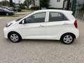 Kia Picanto 66PS.Benzin  Titan-Ausstattung Wit - thumbnail 8