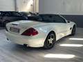 Mercedes-Benz SL 500 SL 500 cat Wit - thumbnail 14