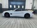 Mercedes-Benz SL 500 SL 500 cat Wit - thumbnail 18