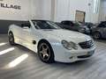 Mercedes-Benz SL 500 SL 500 cat Wit - thumbnail 21