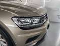 Volkswagen Tiguan ADVANCE BLUEMOTION Beige - thumbnail 39