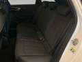 Audi A4 Avant 45 TFSI qua 2x S line *AHK*PANO*MATRIX* Weiß - thumbnail 11