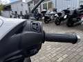 Honda SH Mode inkl. Preisgarantie / 6 Jahre Garantie Weiß - thumbnail 9
