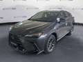 Lexus NX 300 2.5H ECVT 2WD BUSINESS MY24 Grigio - thumbnail 1