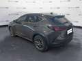Lexus NX 300 2.5H ECVT 2WD BUSINESS MY24 Grigio - thumbnail 7