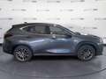 Lexus NX 300 2.5H ECVT 2WD BUSINESS MY24 Grigio - thumbnail 4