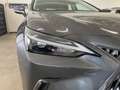Lexus NX 300 2.5H ECVT 2WD BUSINESS MY24 Grigio - thumbnail 11