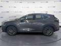 Lexus NX 300 2.5H ECVT 2WD BUSINESS MY24 Grigio - thumbnail 8