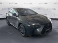 Lexus NX 300 2.5H ECVT 2WD BUSINESS MY24 Grigio - thumbnail 3